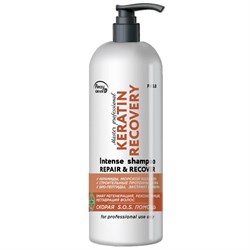 Frezy Grand Шампунь для регенерации и реконструкции волос / Keratin Recovery PH 5.0, 1000 мл 18152-19547 - фото 14775617