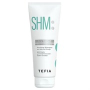 TEFIA Mytreat Шампунь для нормальной кожи головы / Purifying Shampoo for Normal Scalp, 250 мл 20465-25616